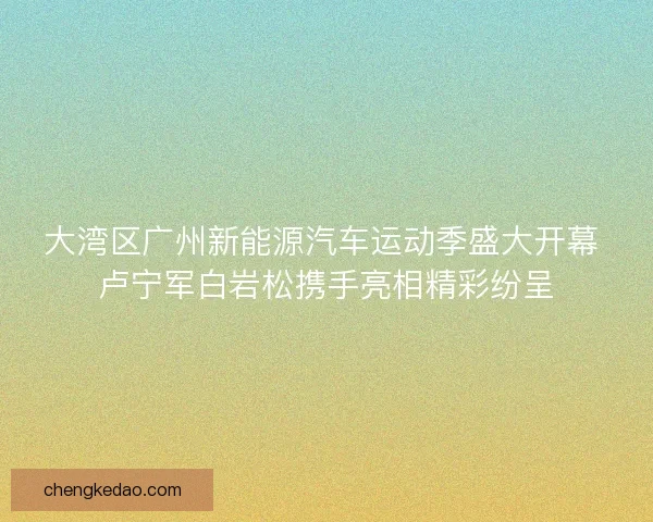 大湾区广州新能源汽车运动季盛大开幕 卢宁军白岩松携手亮相精彩纷呈